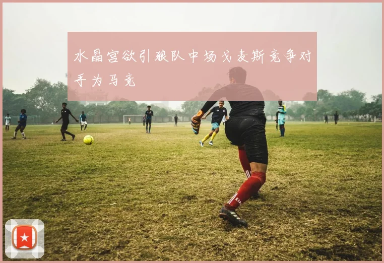 水晶宫欲引狼队中场戈麦斯竞争对手为马竞